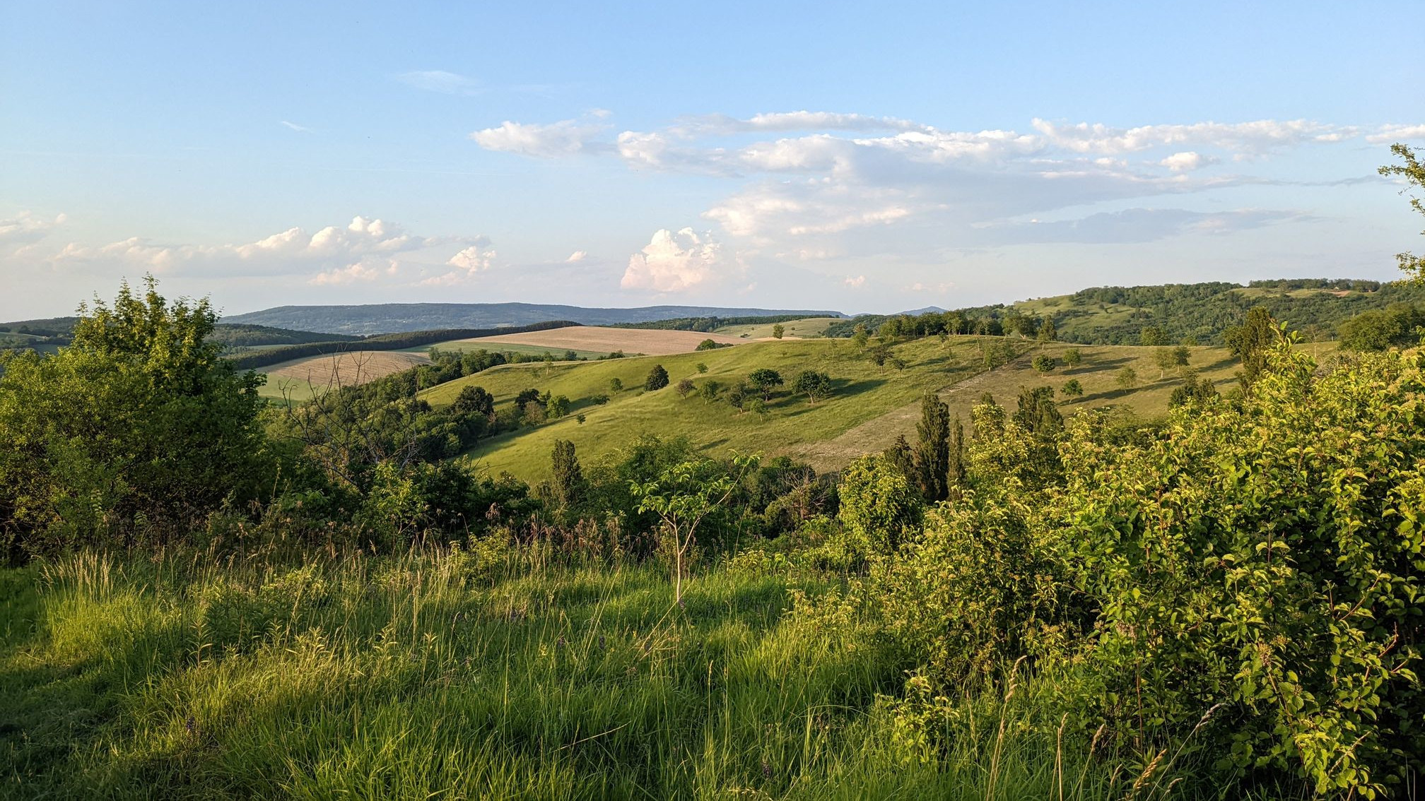 Zalai dombság - Kustány