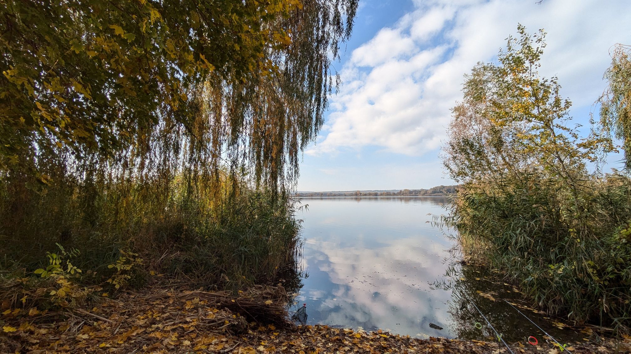 Kányavári sziget - Tüskevár