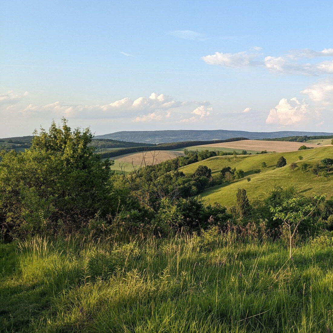 Zalai dombság